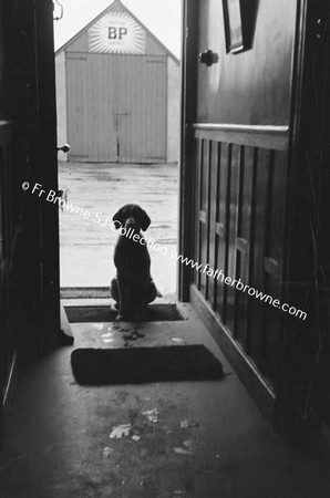DOG AT DOOR OF HOUSE